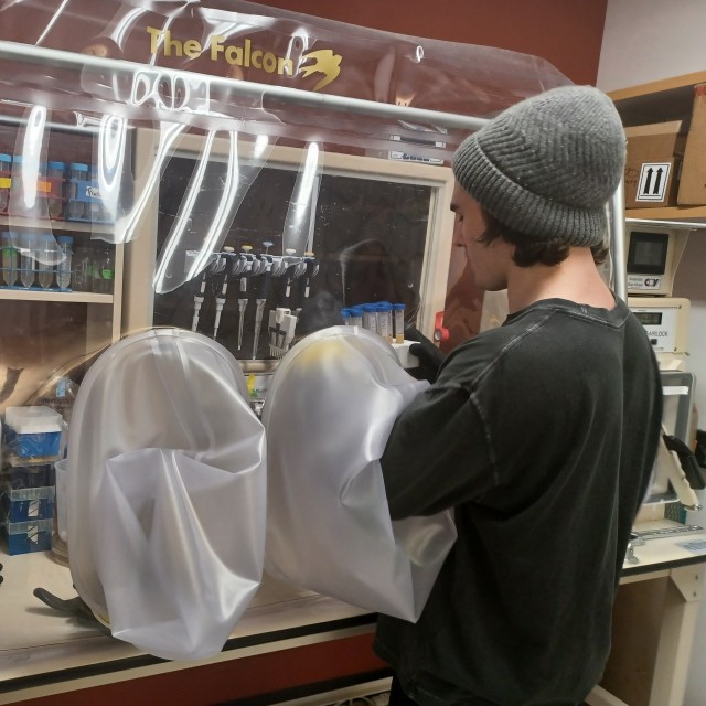 Josh Stemczynski at the chamber